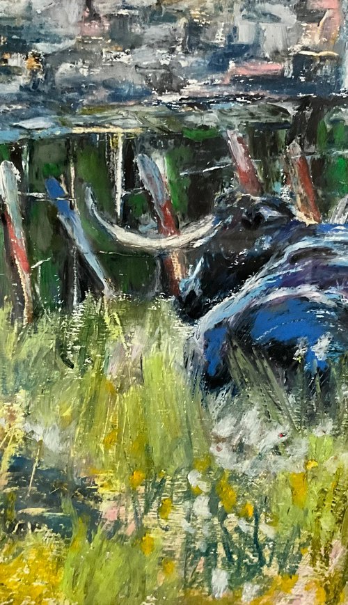 Black bull by Claire Williamson