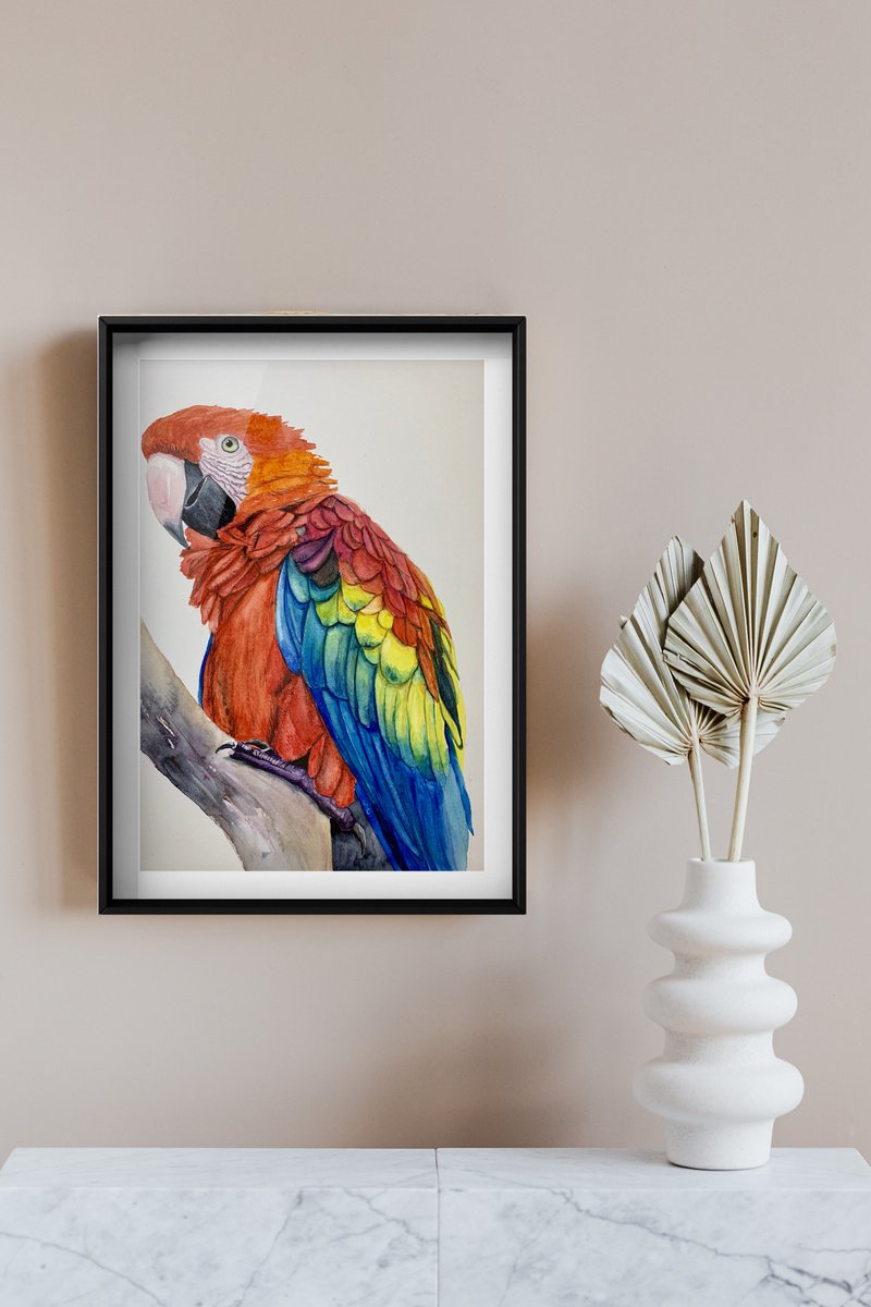 Scarlet Macaw by Lucia Kasardova