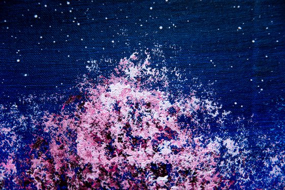 Cherry blossoms under the Milky Way