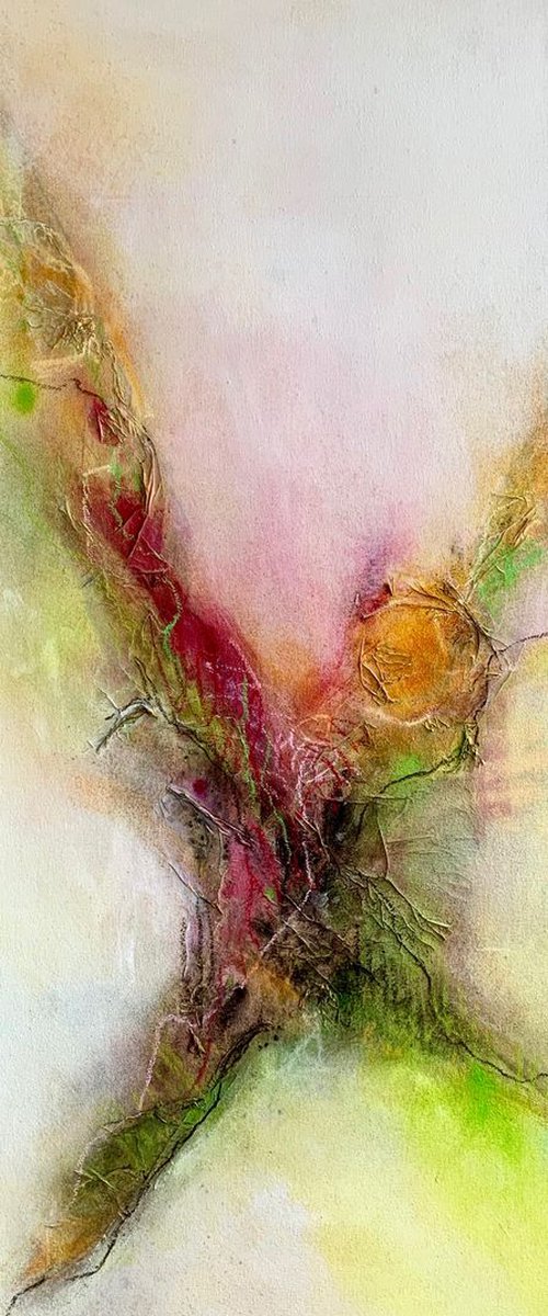 Spring awakening behind the garden fence by Kirsten Schankweiler