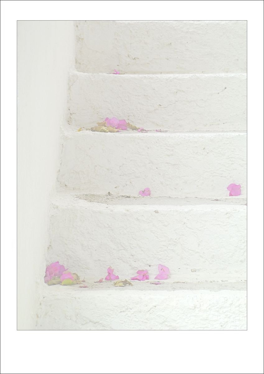 From the Greek Minimalism series: Steps and Bougainvillea Petals, Santorini, Greece by Tony Bowall FRPS