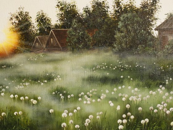 Dandelion Meadow at Sunrise