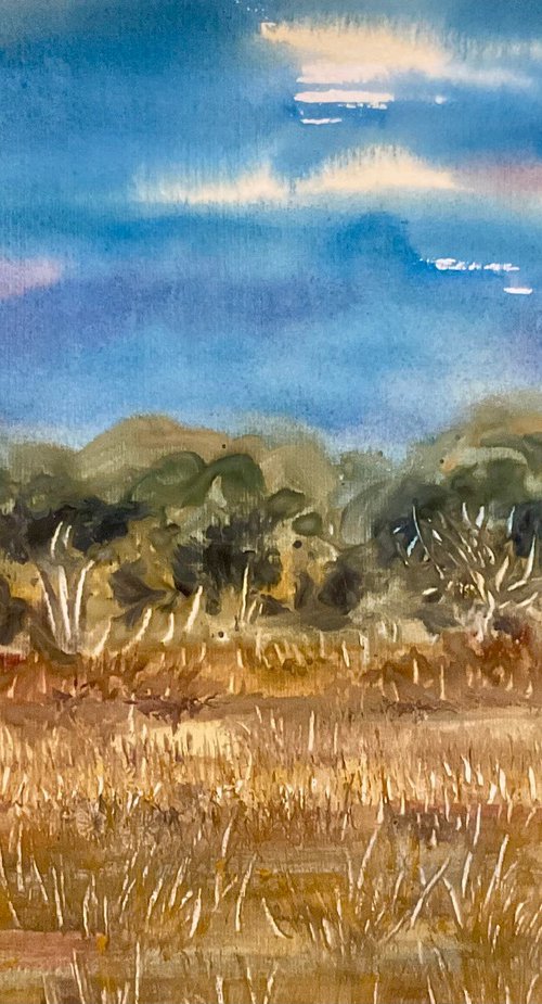 Durlston country park, Dorset by Samantha Adams