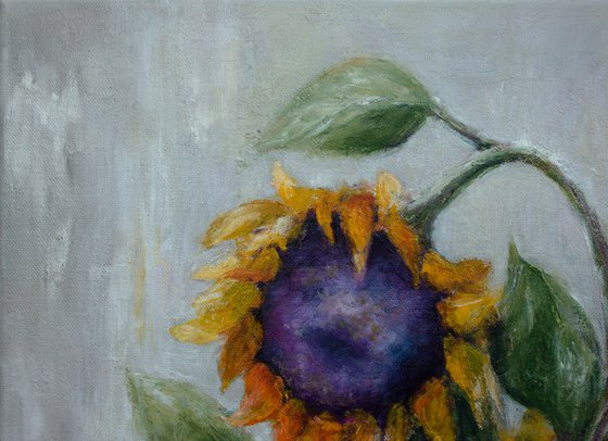 Dreams of Sunflowers