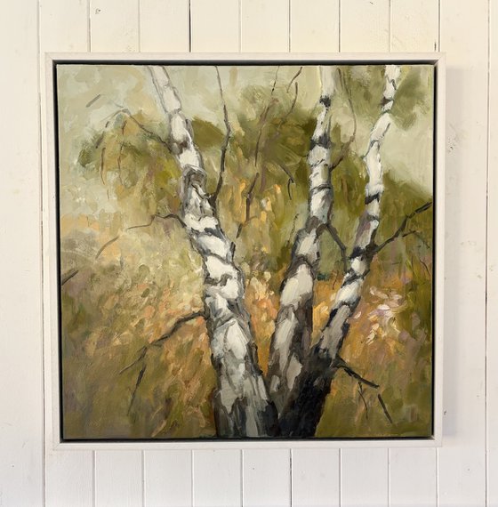 Birch Forest 2