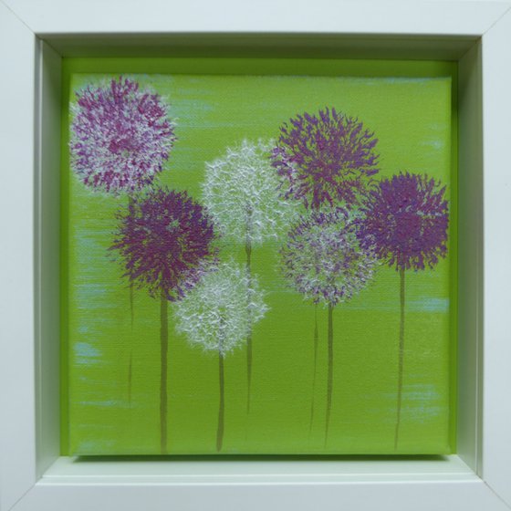 Alliums on green