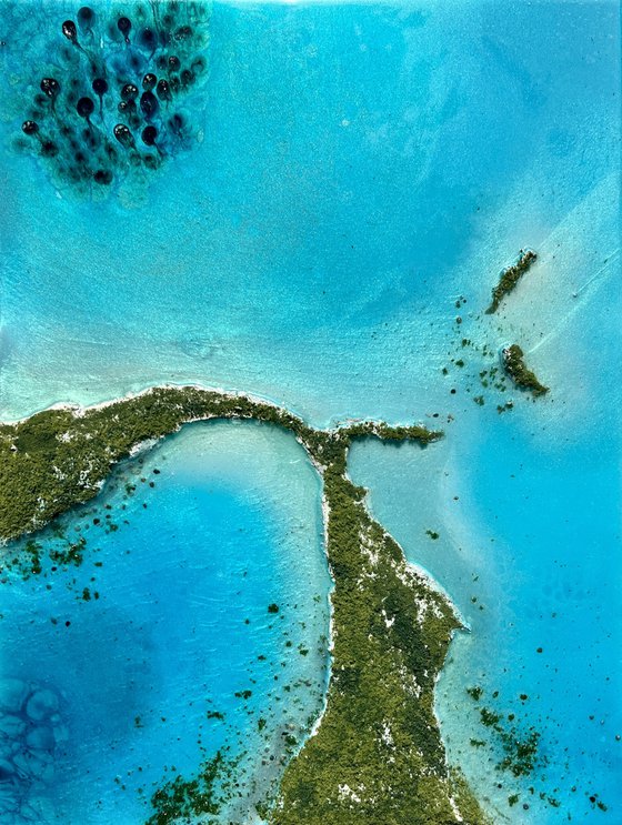 Flying over The Bahamas #1