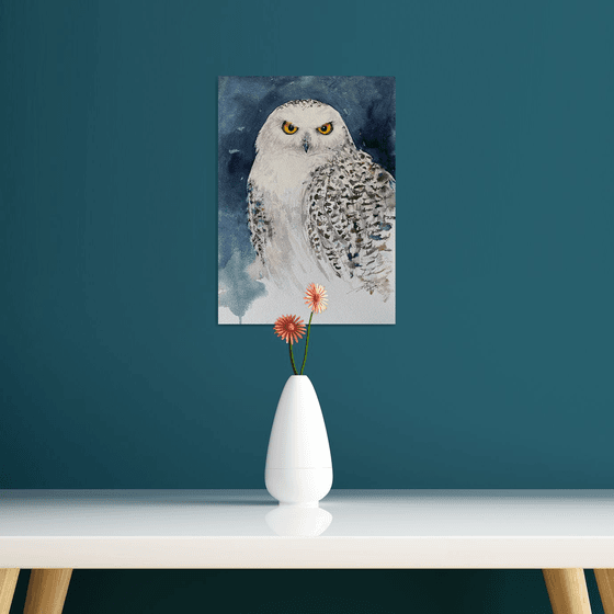 Snow Owl Saul