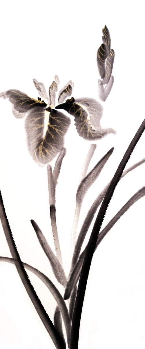 Black Monochromatic Ink Iris - Oriental Chinese Ink Painting by Ilana Shechter