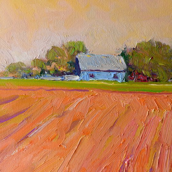 Midwest. Farmland in Evening