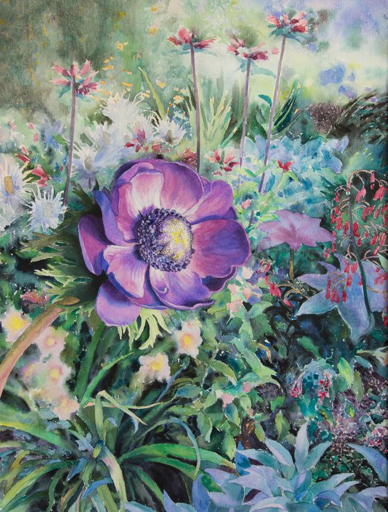 Anemone