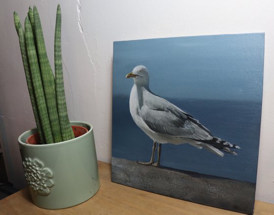 Lockdown Morning Chorus Series - By the Sea, Seagull Painting, Bird Art by Alex Jabore