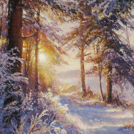Warm winter light