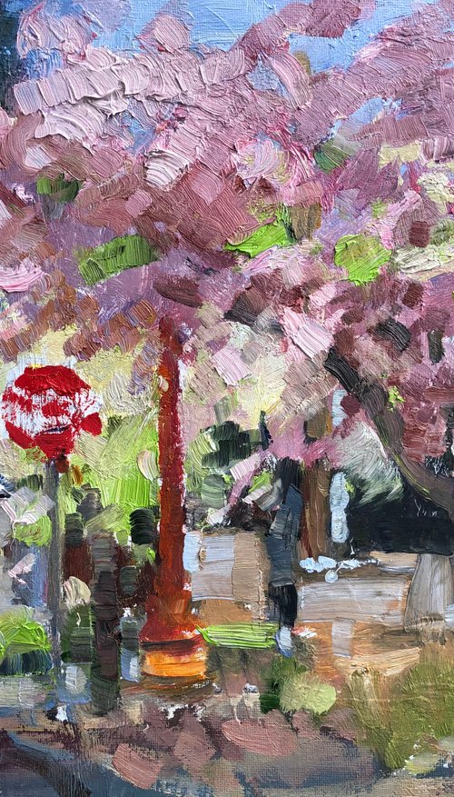 Cherry blossoms by the road by Olga Bolgar