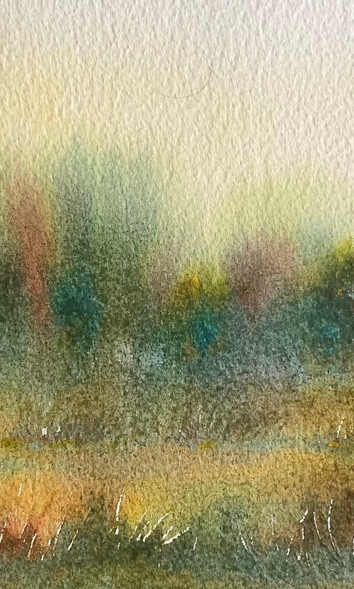 Marshy pools on the heath by Samantha Adams
