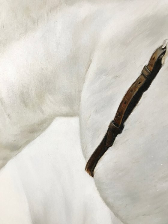 Oil painting with a white horse "Details" 60*80 cm
