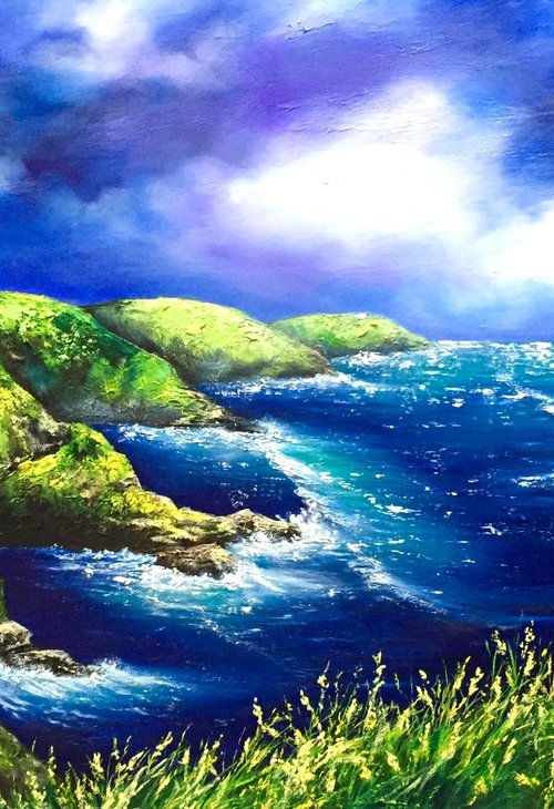 Cliffs of St Abbs by Yulia Allan