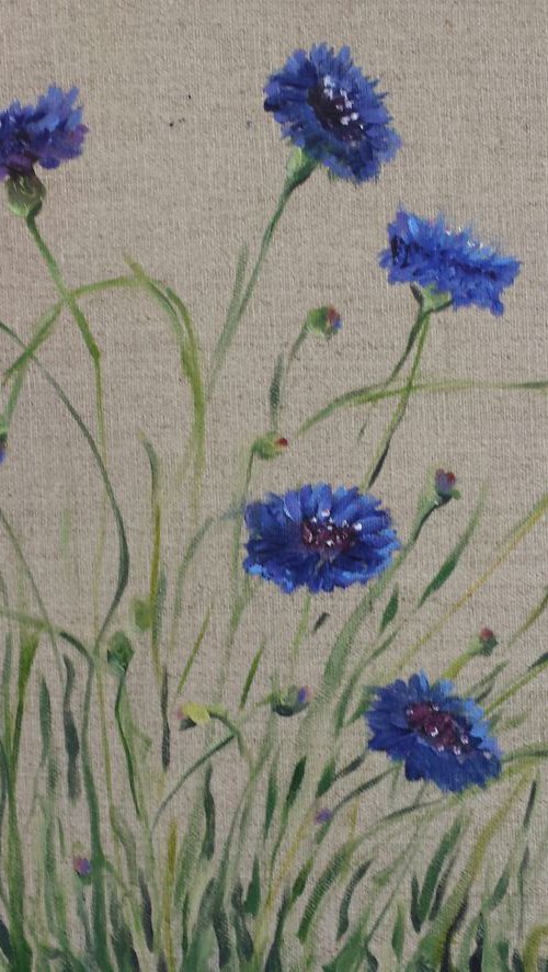 Corn Flowers by Margo de Jong