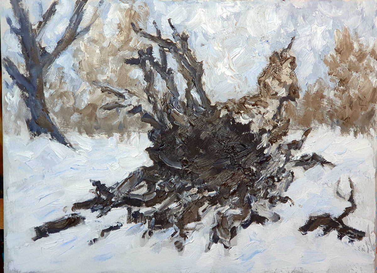 Dead trees in winter 4 by Colin Ross Jack