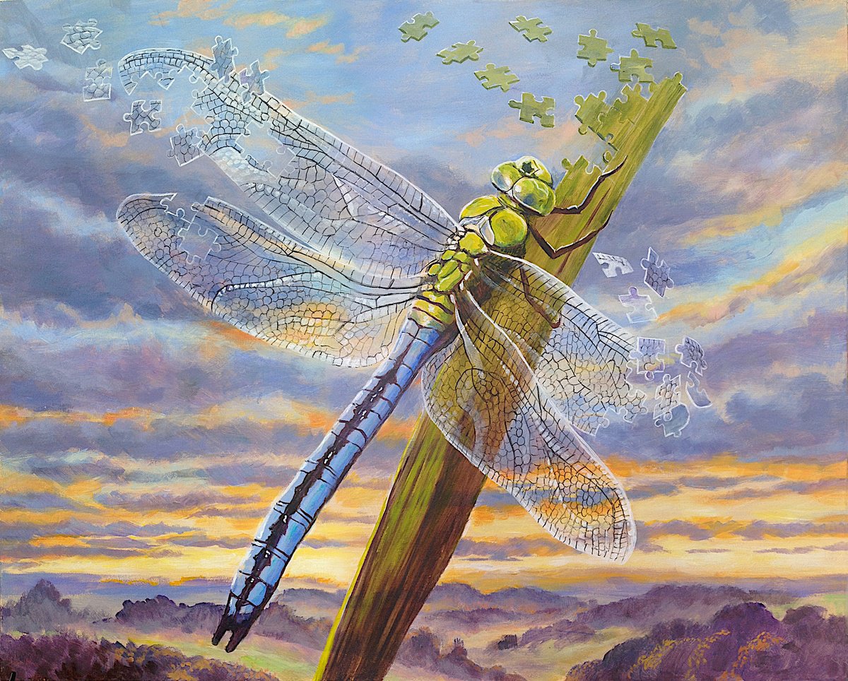 Urban And Pop Acrylic Painting , In Pieces - Dragonfly By Daniel Loveday, 31 X 25, Artwork For Sale On Artfinder