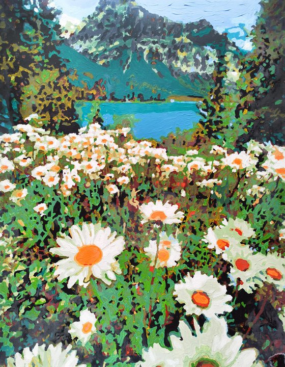 Daisies field in mountains