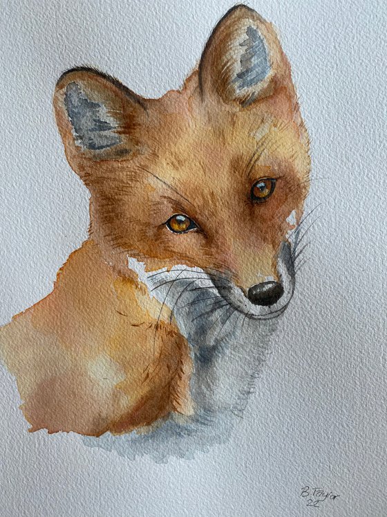 Fox watercolour painting