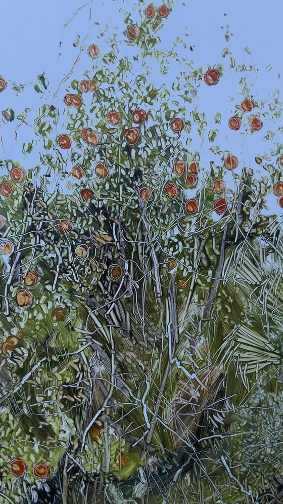 An Abandoned Spanish Orange Orcha