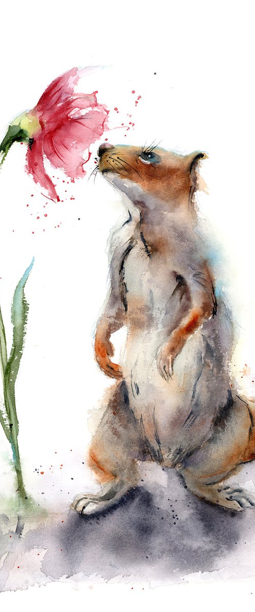 Animal Sniffing Flower by Olga Tchefranov (Shefranov)