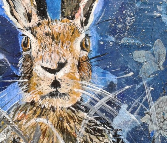 Hare in the moonlight