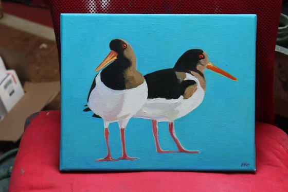 The Oystercatchers