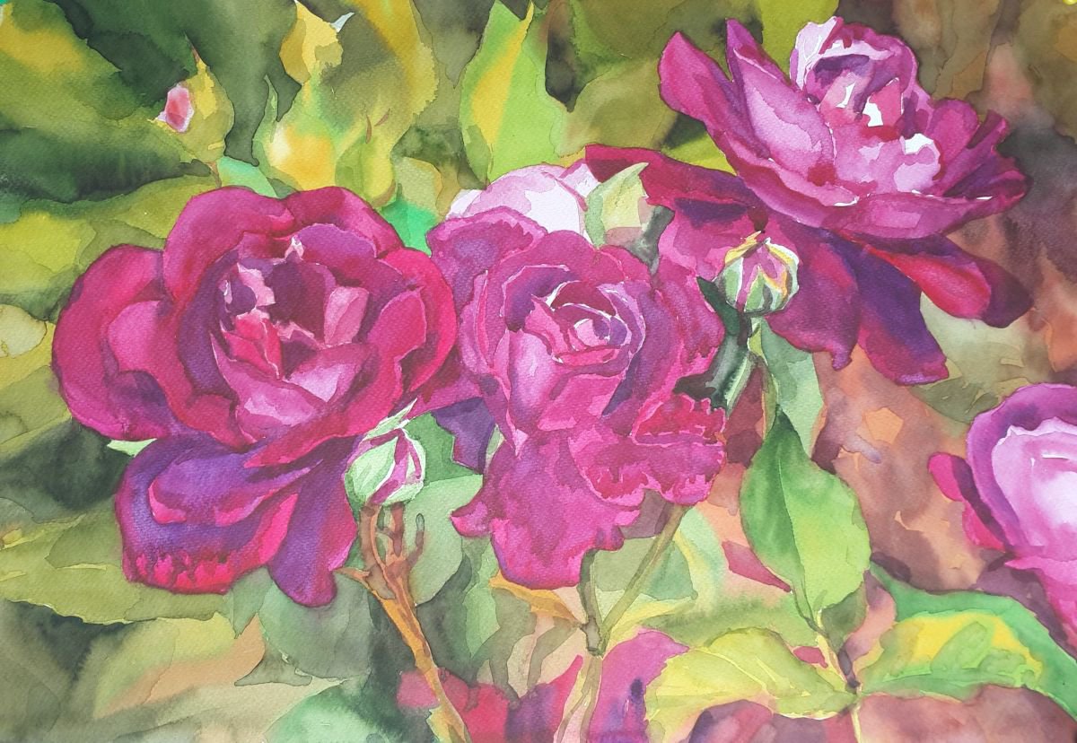 Photorealistic Watercolour , Red Roses By Yurii Pashkov, 20 X 14, Artwork For Sale On Artfinder