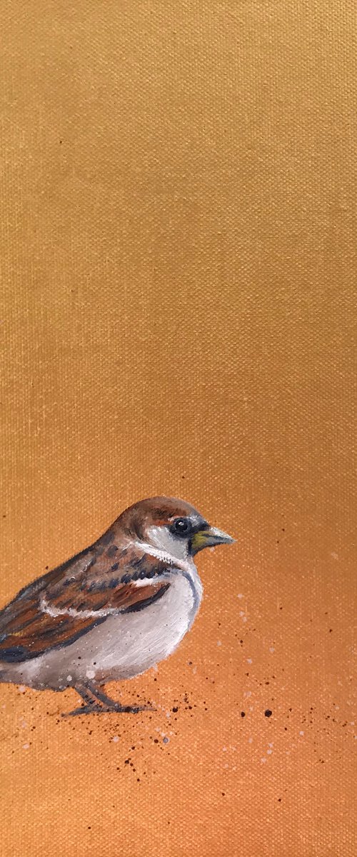 Garden Sparrow on Gold by Laure Bury