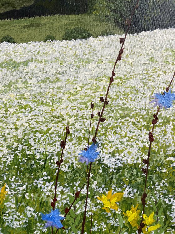 White Flower Fields in La Conception