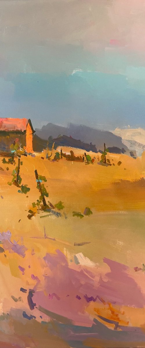 Sunlit Valley by Igor Calinciuc