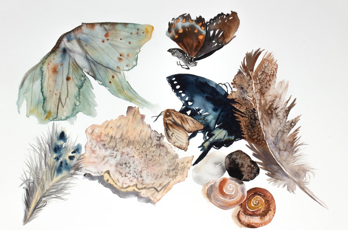 Photorealistic Still Life Watercolour By Elizabeth Becker, 18 X 12, Nature Collection No. 1, Original Artwork