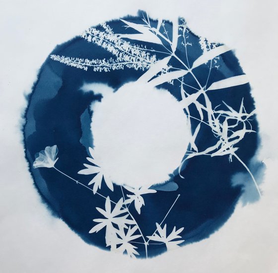 Cyanotype with Garden Flowers 26