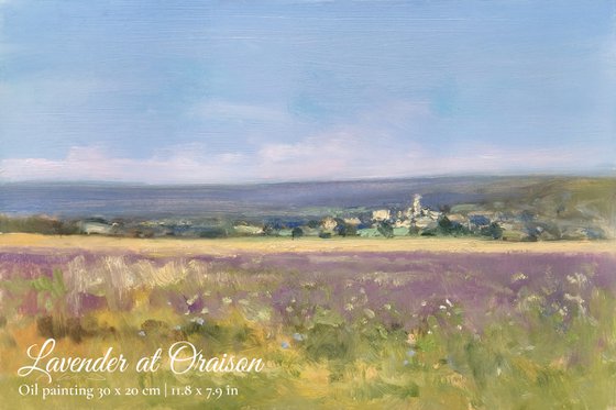 Lavender Fields Set