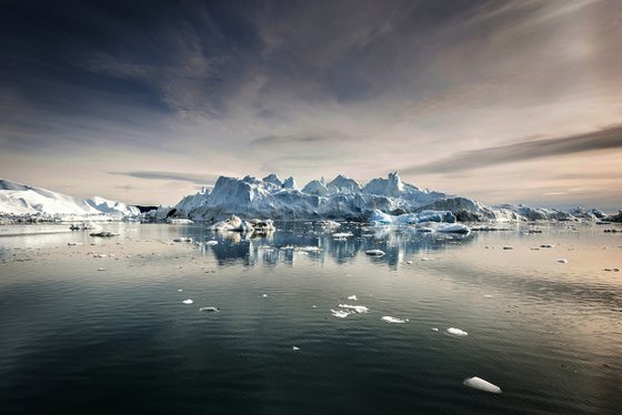 The Icebergs Cometh 5