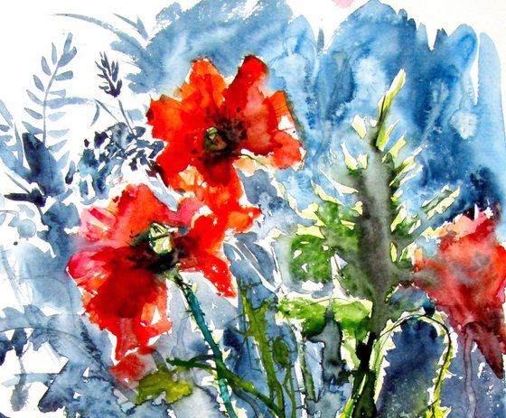 Wild poppies