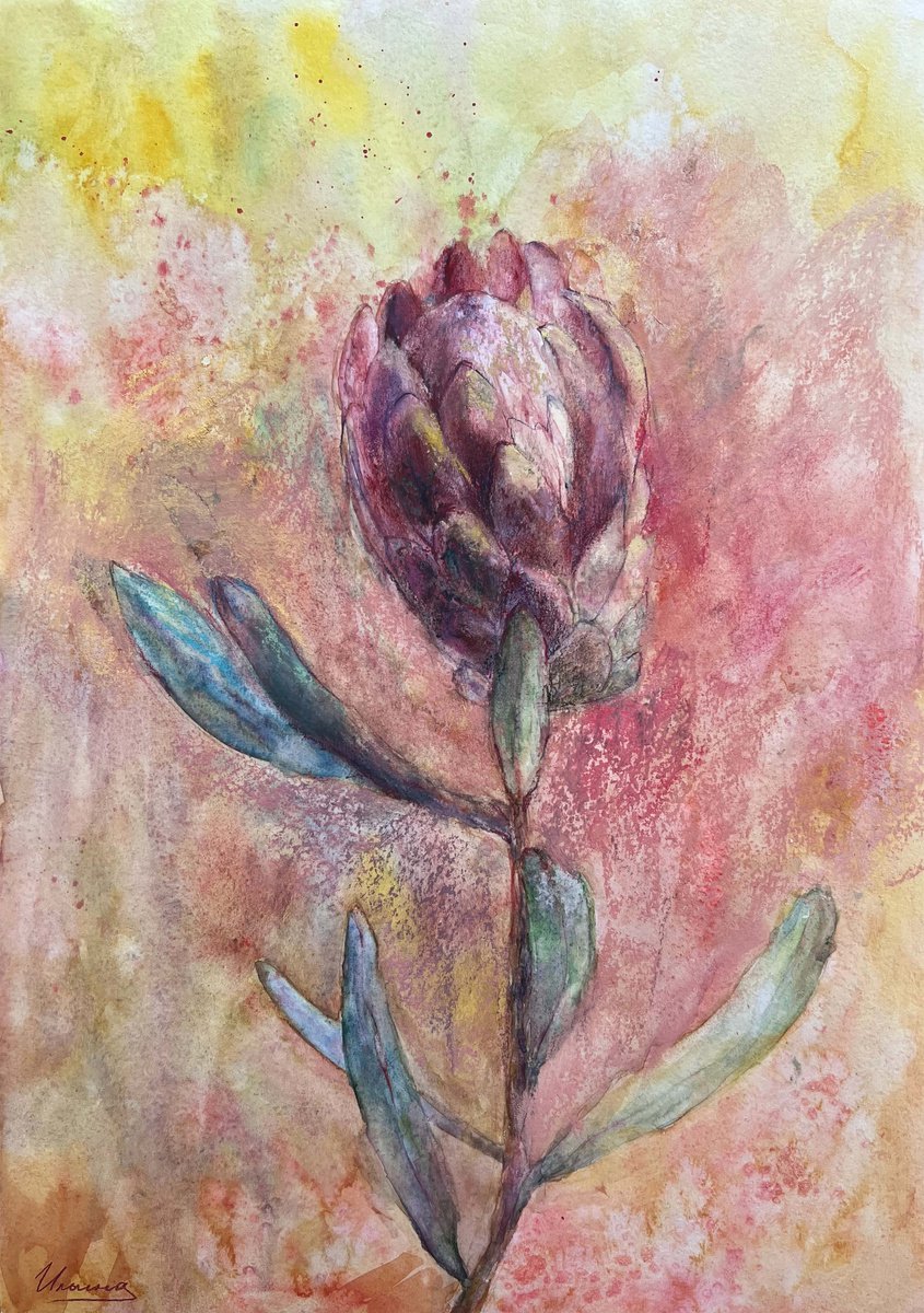 PROTEA- Pastel and watercolor drawing on paper, spring, original gift, gold color, kitchen... by Tatsiana Ilyina