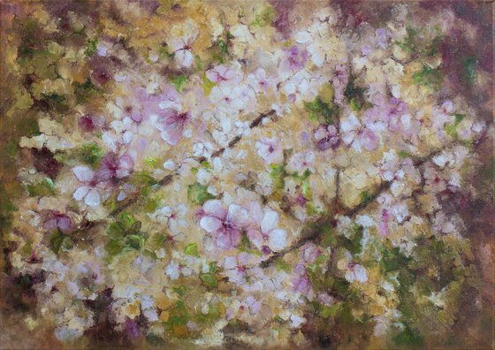 Cherry Blossom Season