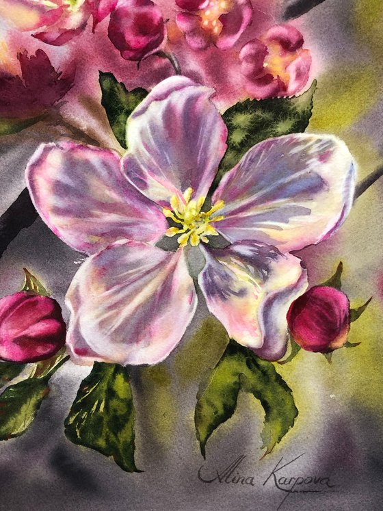 Apple blossom