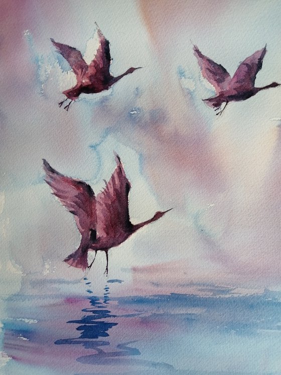flying birds