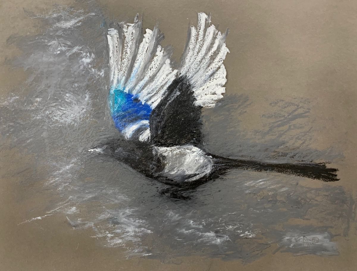 Magpie take off by Teresa Montalvao