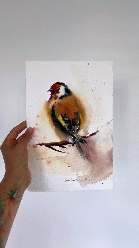 Goldfinch