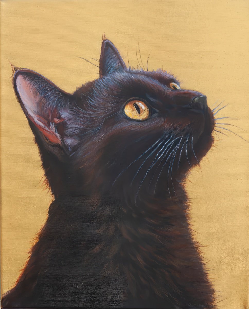 Contemplation By Norma Beatriz Zaro, 9 X 12, Artwork For Sale On Artfinder