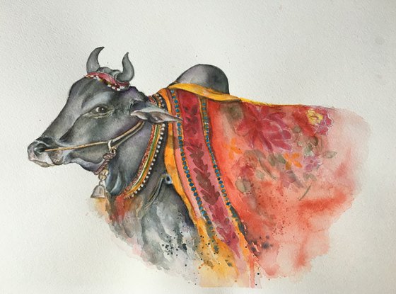 Nandi