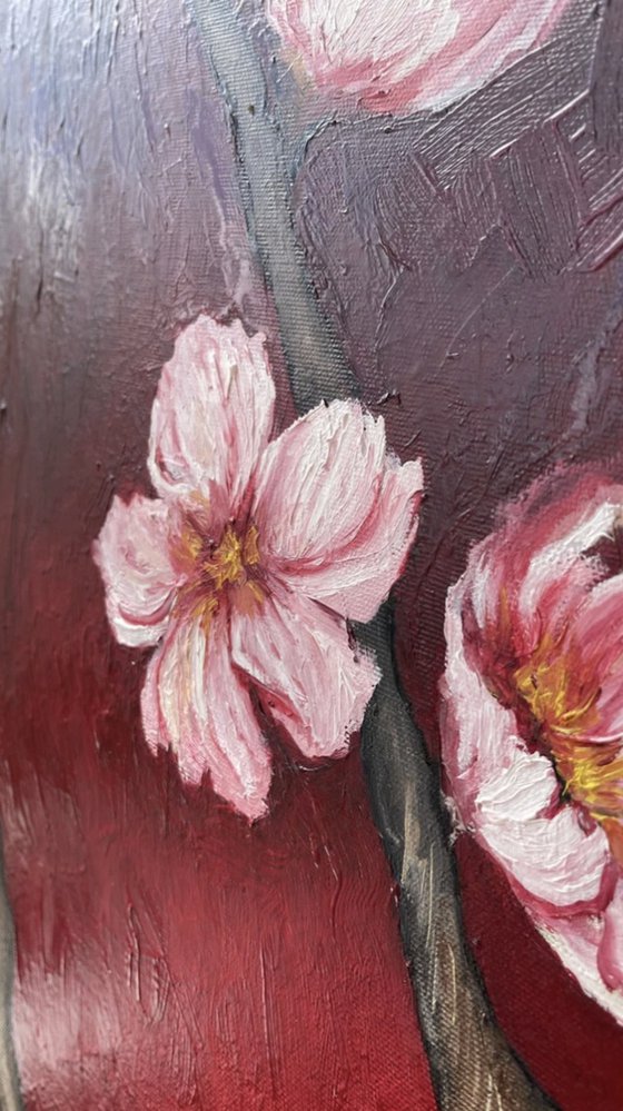 Blooming Cherry Branches