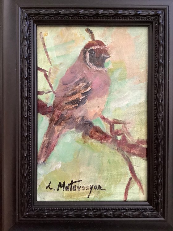 Quail