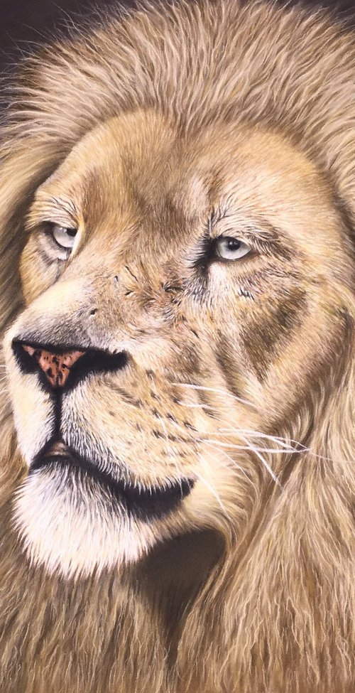 Majestic by Maria Tran